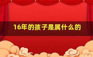 16年的孩子是属什么的