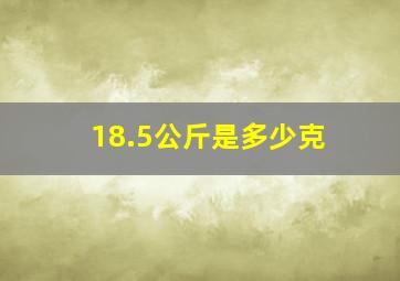 18.5公斤是多少克