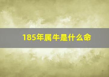 185年属牛是什么命