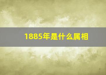 1885年是什么属相