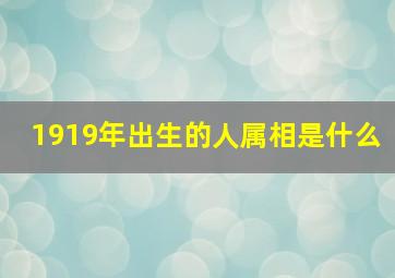 1919年出生的人属相是什么