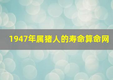 1947年属猪人的寿命算命网