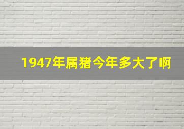 1947年属猪今年多大了啊