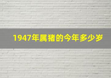 1947年属猪的今年多少岁