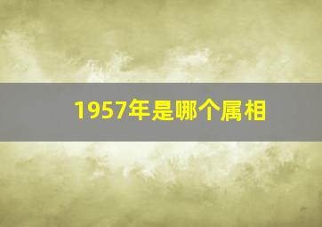 1957年是哪个属相