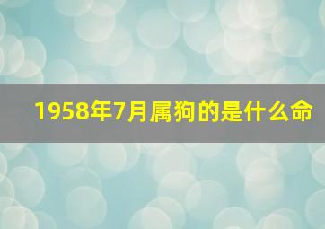 1958年7月属狗的是什么命