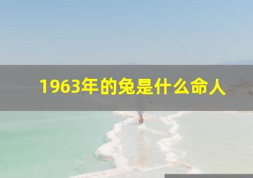 1963年的兔是什么命人