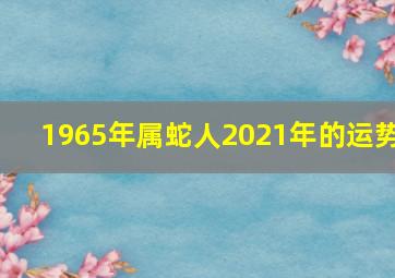 1965年属蛇人2021年的运势