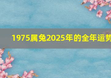 1975属兔2025年的全年运势