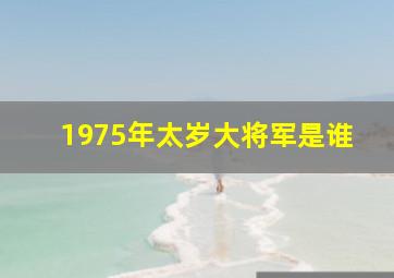 1975年太岁大将军是谁