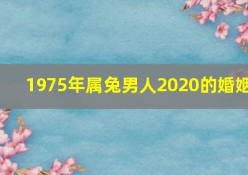 1975年属兔男人2020的婚姻