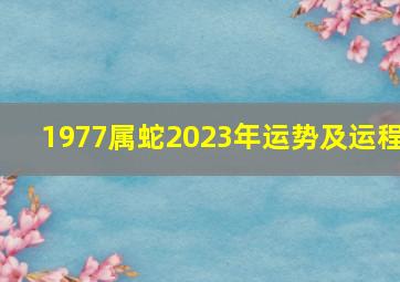 1977属蛇2023年运势及运程