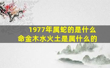 1977年属蛇的是什么命金木水火土是属什么的