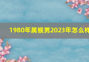 1980年属猴男2023年怎么样