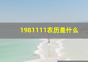 1981111农历是什么