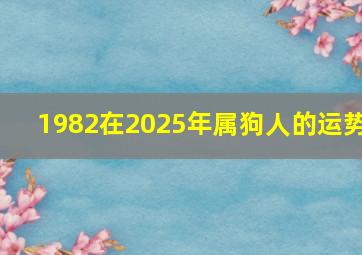 1982在2025年属狗人的运势