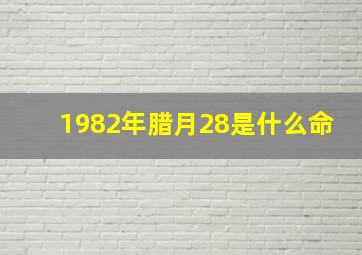 1982年腊月28是什么命