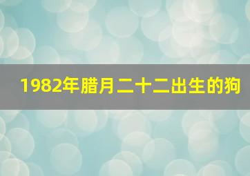 1982年腊月二十二出生的狗