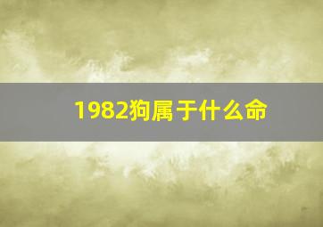 1982狗属于什么命