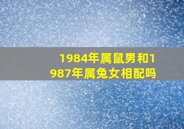 1984年属鼠男和1987年属兔女相配吗