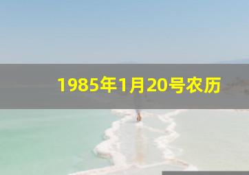 1985年1月20号农历