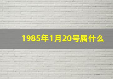 1985年1月20号属什么