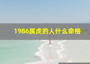 1986属虎的人什么命格