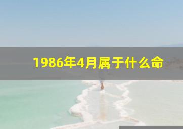 1986年4月属于什么命