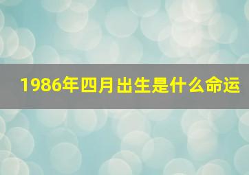 1986年四月出生是什么命运