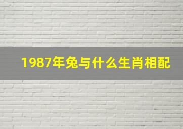 1987年兔与什么生肖相配