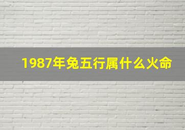 1987年兔五行属什么火命