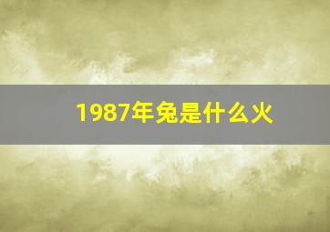 1987年兔是什么火