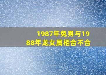 1987年兔男与1988年龙女属相合不合