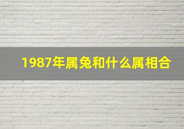 1987年属兔和什么属相合