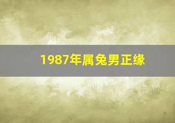 1987年属兔男正缘