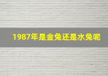 1987年是金兔还是水兔呢