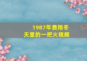 1987年费翔冬天里的一把火视频