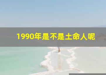 1990年是不是土命人呢