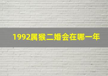 1992属猴二婚会在哪一年