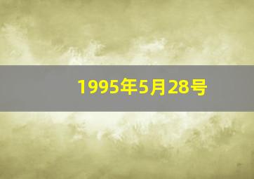 1995年5月28号