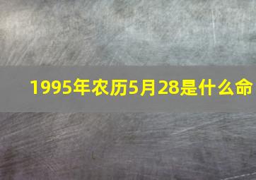 1995年农历5月28是什么命