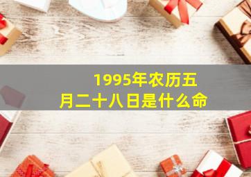 1995年农历五月二十八日是什么命