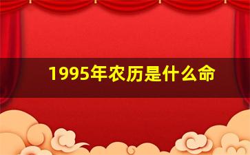 1995年农历是什么命