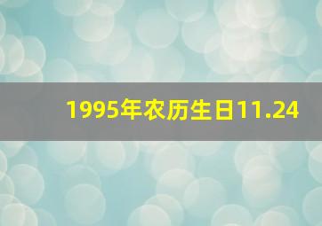 1995年农历生日11.24