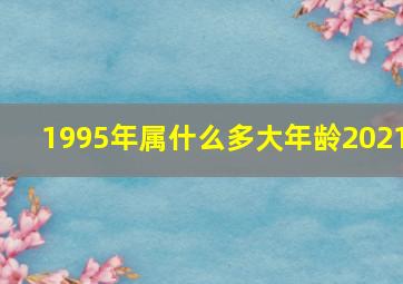 1995年属什么多大年龄2021