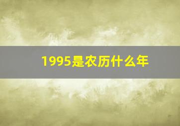 1995是农历什么年