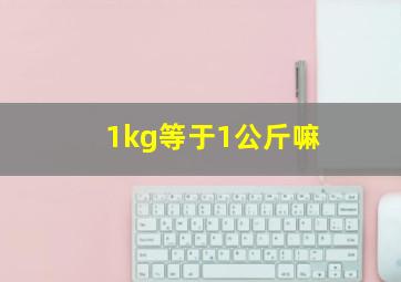 1kg等于1公斤嘛