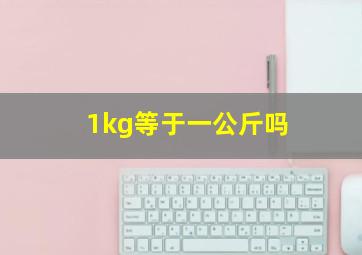 1kg等于一公斤吗