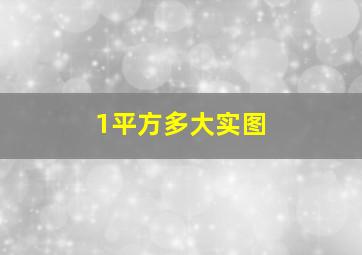 1平方多大实图