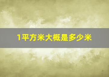 1平方米大概是多少米